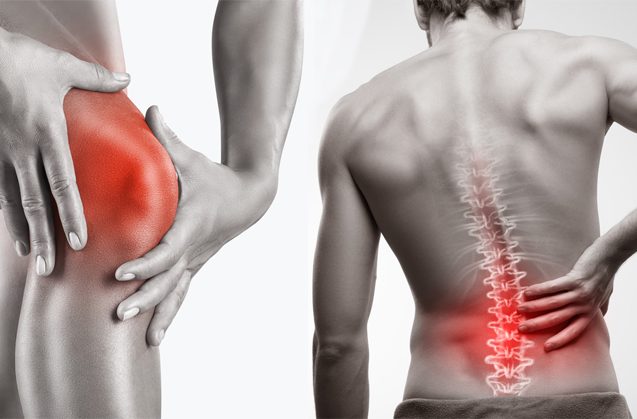 Healthy knees and back stretching clinic