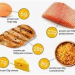 lean protein